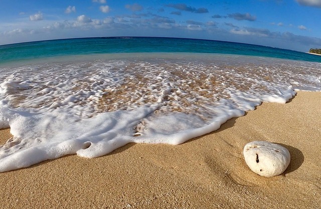 ICE OPTIONAL IN PARADISE.SURF IS UP.WALK to PIPE where the BIG WAVE ACTION IS