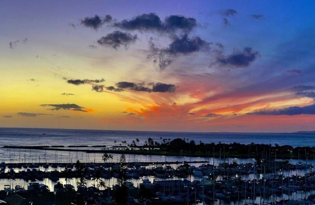 Ilikai 1129 - Fully remodeled unit with full kitchen and spectacular ocean view