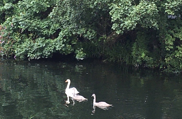 Impeccable 2-bed House in Attleborough