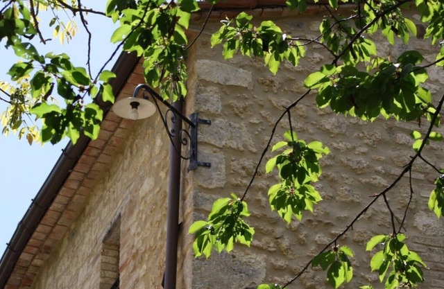 in the south of Tuscany between wines and Sienese hills