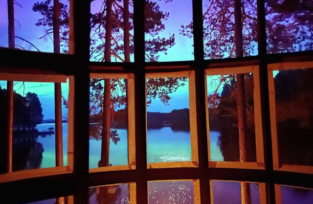 Incredible tree house on your own private island on a huge lake