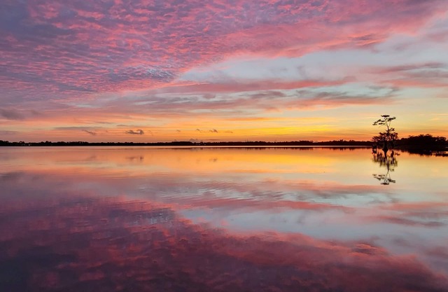 Incredible view on the Butler Chain of Lakes near Disney