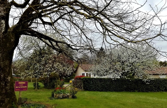 Independent, warm and bright cottage with modern facilities