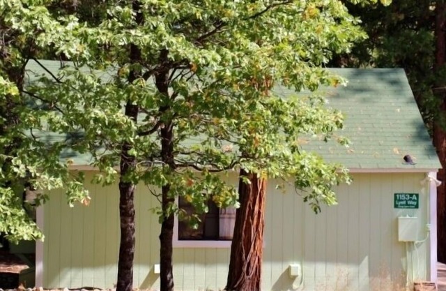 INSIDE YOSEMITE! Ten minutes from Yosemite Valley. SUMMER/FALL openings!