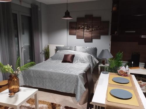 Ioannina City Studios 1