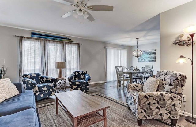 Island Adventures with Your Furry Sidekick