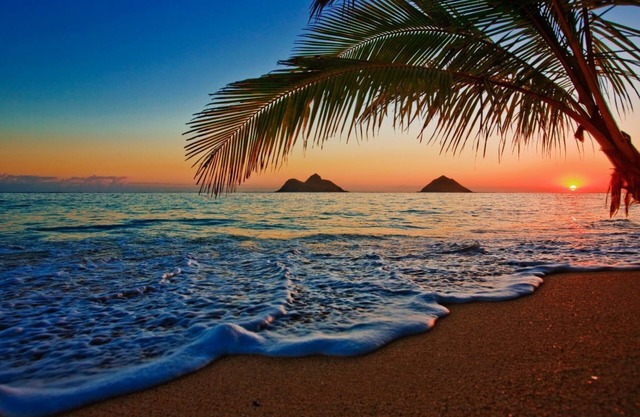 Island Breeze Oasis - Newly Furnished