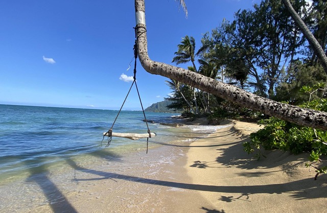 Island Life Retreat-Ocean Front-Beach Access