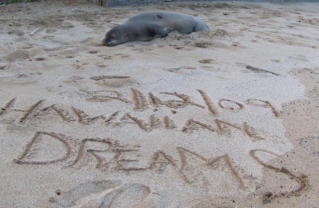 Itʻs All About the Beach