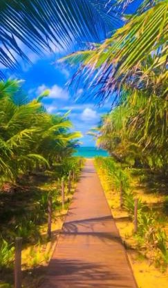 Itacimirim village pé na areia