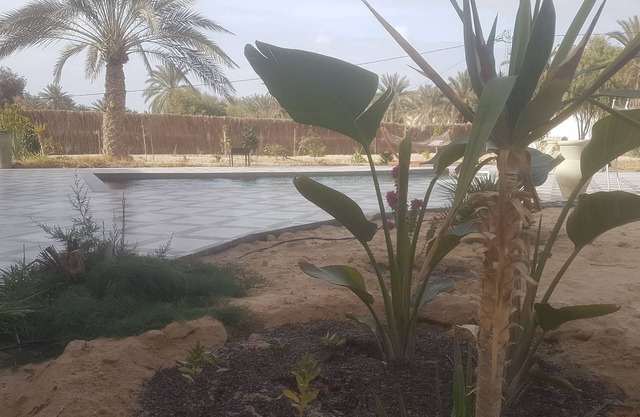 JARDIA beautiful vacation villa in the heart of the palm grove