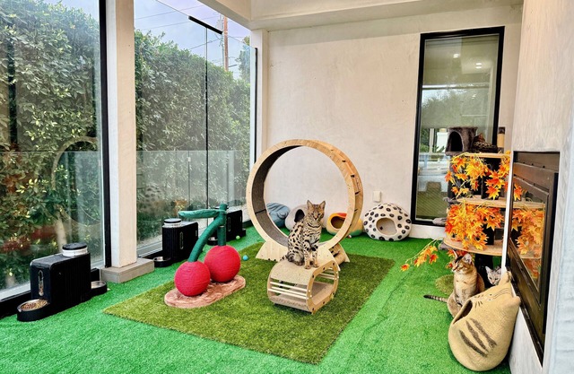 Jie's Choice - Enchanted Garden Hideout