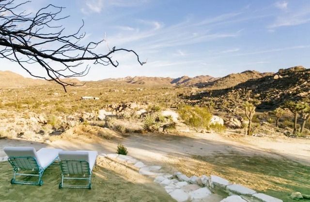 Joshua Tree Desert Homestead Family Living