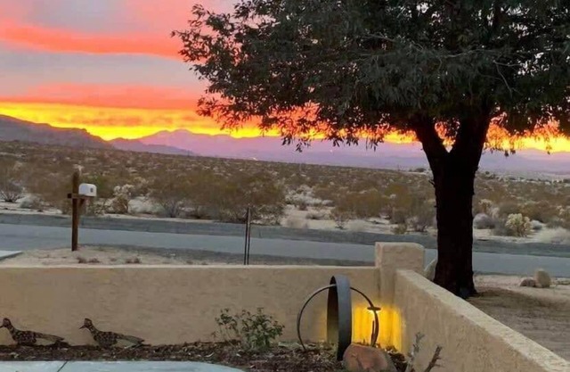Joshua Tree Oasis with Pool By Summer