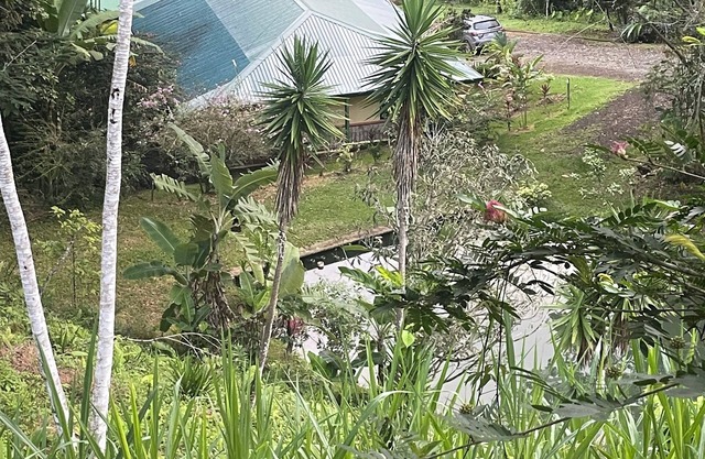 Jungle Forest Mountain Getaway. Secluded, private one bedroom villa.