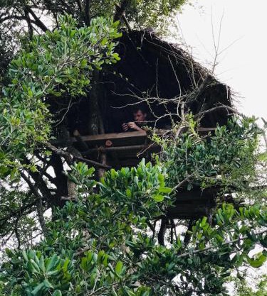 Jungle Tree Hut Anuradhapura Sri Lanka