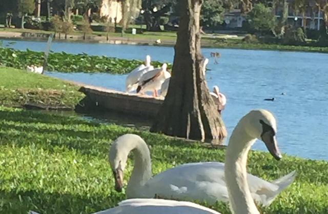 Just steps from Florida Southern College and Lake Morton