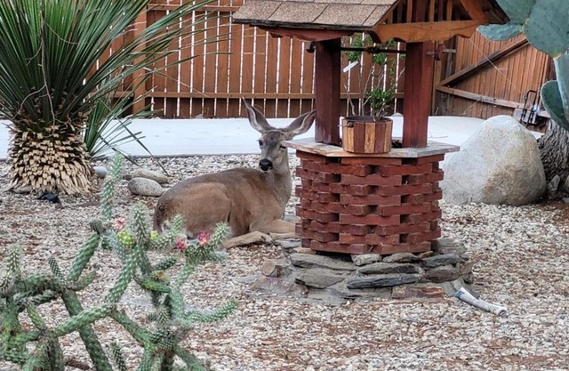 Kernville - walk to River Kern & Downtown