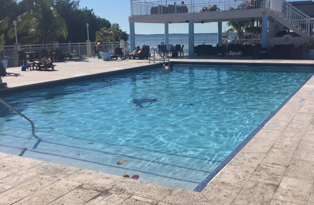 Key Largo, Calusa Resort, 2 bedroom 1 bath with screened in patio
