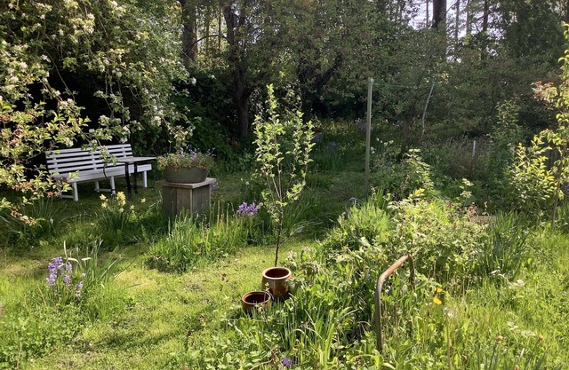 Kleine, Gemütliche Ferienwohnung im 1. OG