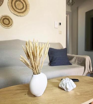 Kleopatra's Apartment A1