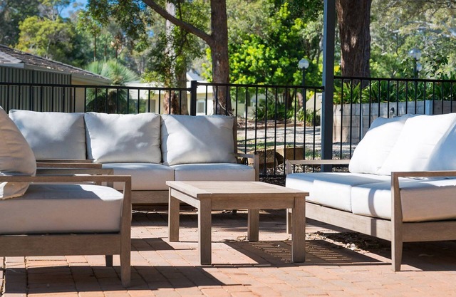 Koalas at Links Lighthouse Beach