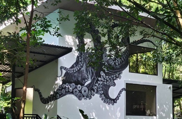 Kraken Cabin-escape in the jungle, abundance of wildlife, walk to Golfito Bay.