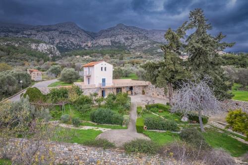 KTHMA "Ν" Πέτρινη Μεζονέτα