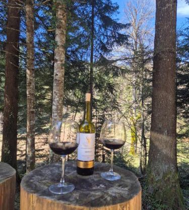 Kuća za odmor Carpe Diem