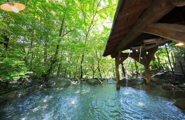Kurokawa Onsen Oyado Noshiyu