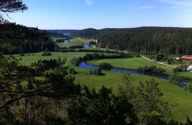 KynnefjällsNatur