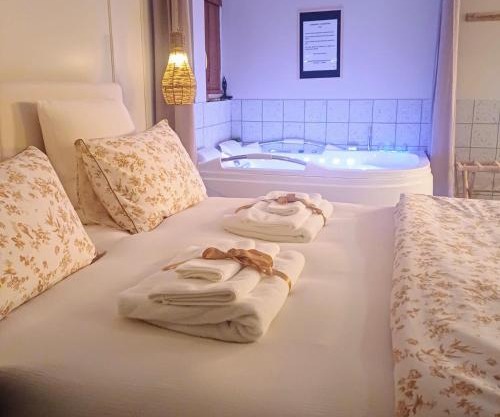 L'instant Beaujolais 2 ou 4 personnes Logis cosy balnéo vue jardin