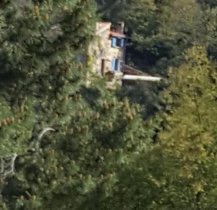 L'Oliveraie des 3 Mas