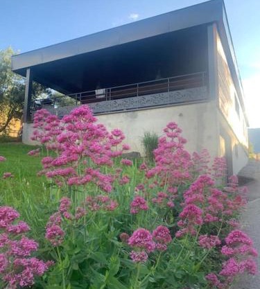 la cabane de Maud