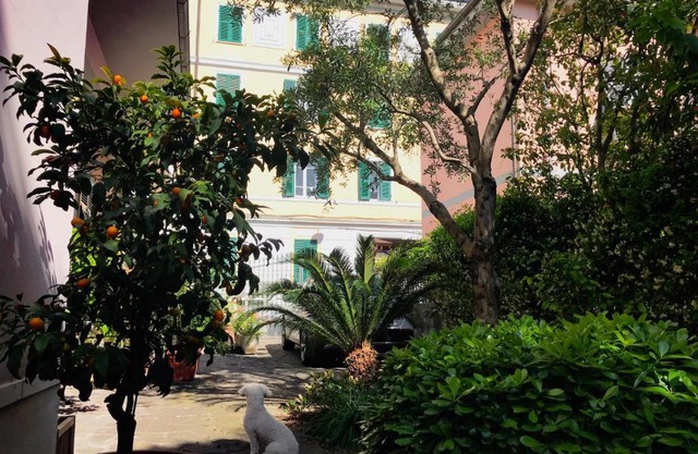 La Casa dei Fiori