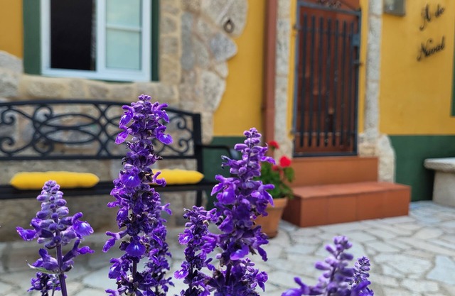 La Casita A de Naval in the Rías Baixas, Pontevedra (activities for customers)