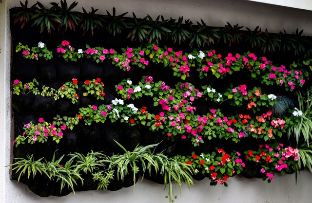 La Dolce Vita Guest House