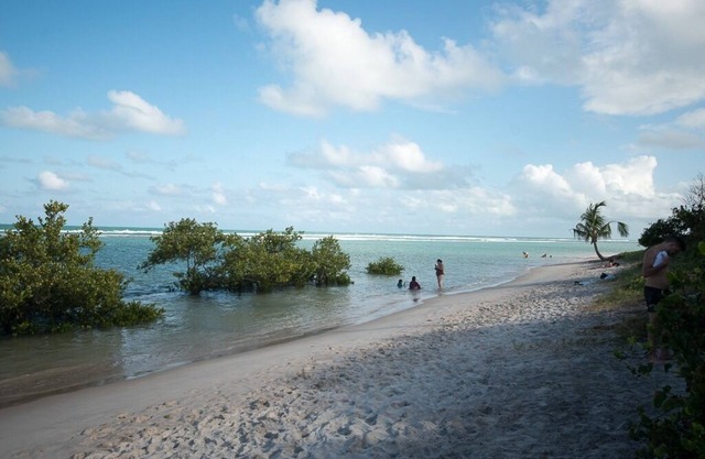 La Fleur Polynesia on the Ground Waterfront in Muro Alto. The Paraiso is here !