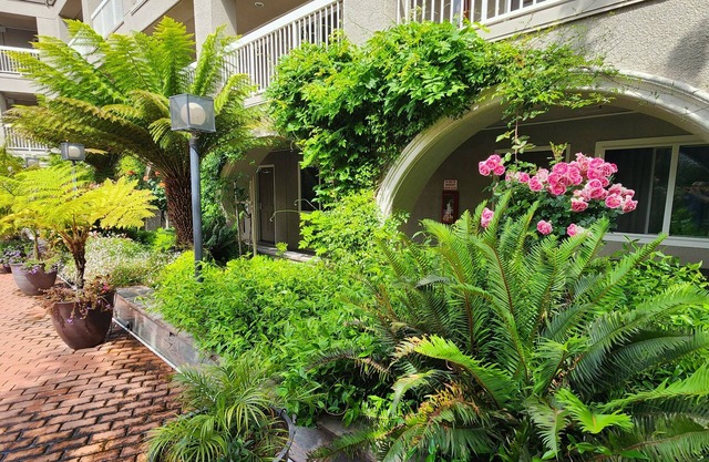 La Quinta Inn & Suites by Wyndham San Francisco Airport West