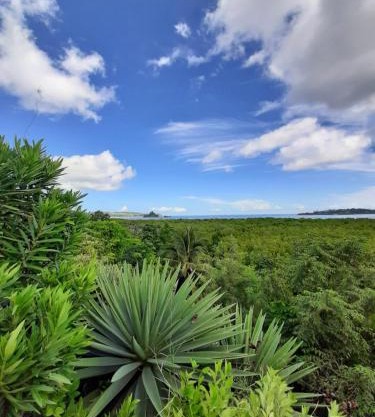La Table d Alexandre Gîte de charme entre mangrove et mer