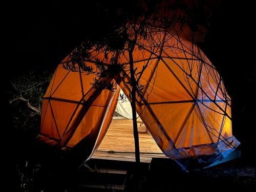 La Templanza EcoGlamping