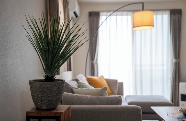 LABRADORITE - LABRADORITE /Sapporo Hokkaidō