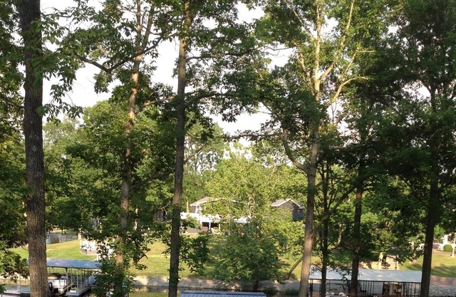 Lake front house on lake of egypt. pontoon to rent during season