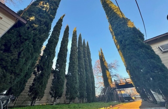 Lake front unit #6 right by the water