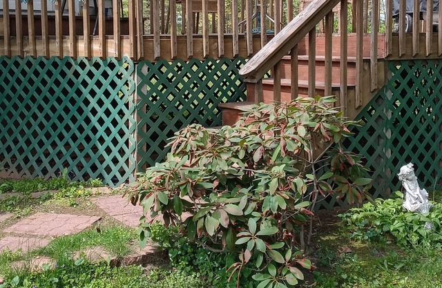 Lake Life Getaway! Campfires & s'mores. Grillouts and Lake views