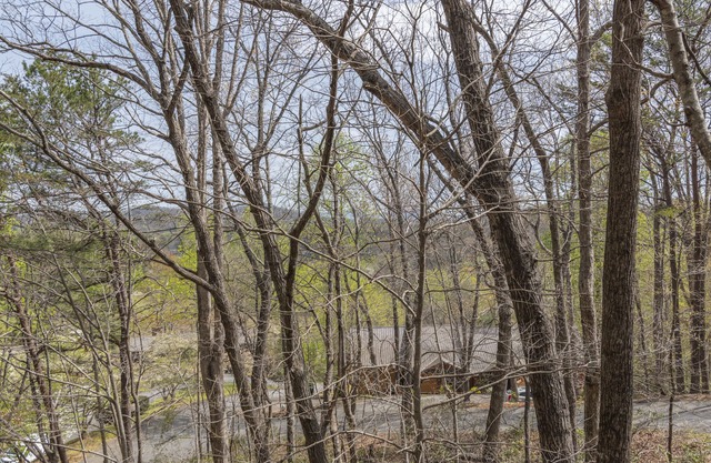 LAKE LURE GEM -NESTLED IN THE TREETOPS -RUMBLING BALD AMENITIES Pet Friendly!n