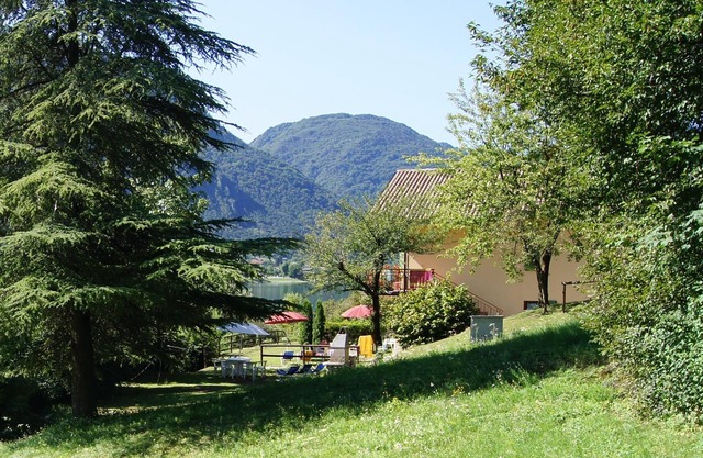 Lake shore with garden