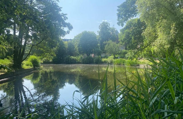 Lake Side Park/Historic/BER/THF