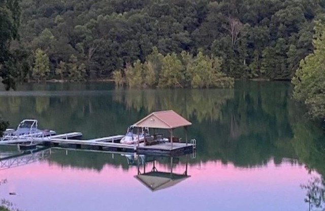 Lakefront Cabin in quiet cove. No steps to private boat slip. Pet friendly.