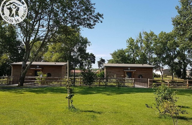 Lakefront Chalets: Comfort, Nature & Recreation - Pets Welcome, Spa, Outdoor Activities